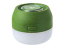 Moji Fern Green