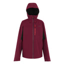 Birhdale II Dark Maroon Black